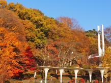 諏訪市秋の紅葉情報 | 諏訪市観光ガイド｜諏訪観光協会 公式 ...