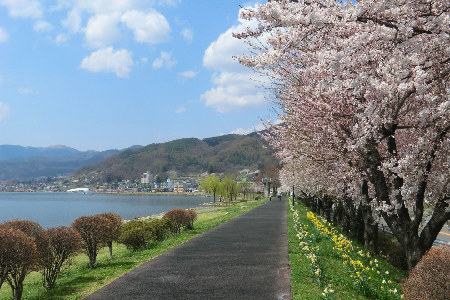 諏訪市觀光導覽 諏訪観光協会公式サイト 諏訪市觀光導覽 諏訪観光協会公式サイト