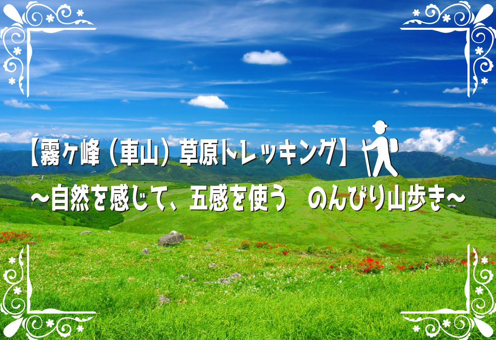 【霧ヶ峰（車山）草原トレッキング】～自然を感じて、五感を使う　のんびり山歩き～