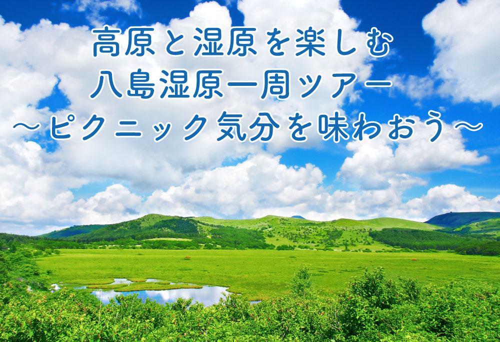 高原と湿原を楽しむ八島湿原一周ツアー　ピクニック気分を味わおう