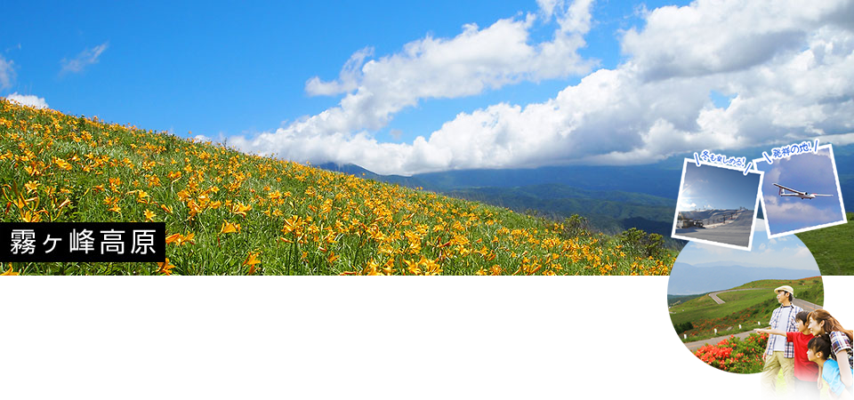 霧ヶ峰高原