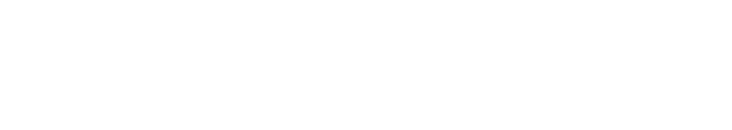 湖畔の芝生から音楽に合わせた華麗な花火をお楽しみください。花火クルージング(花火納涼船)では、湖上から夜空に咲く花火を満喫できます。