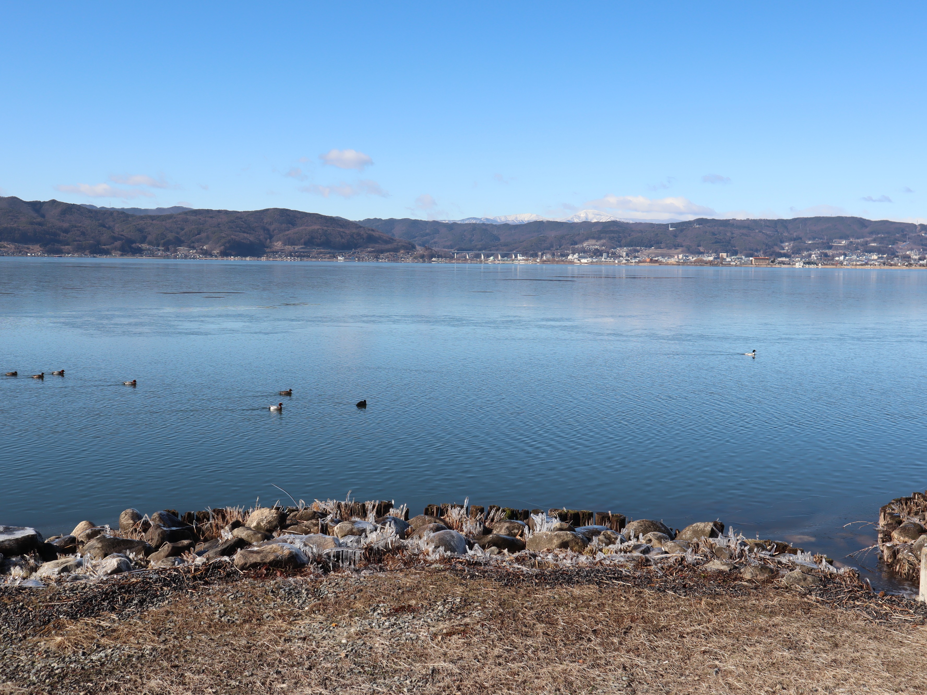 諏訪湖 御神渡り観測 8季連続の“明けの海”を宣言