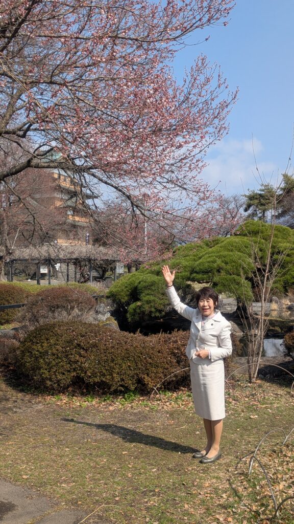 開花情報 花だより🌸 2026(3/30) | 諏訪市観光ガイド｜諏訪観光協会