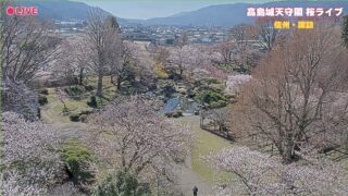 お殿様気分! 高島城天守閣桜ライブ🌸　信州諏訪